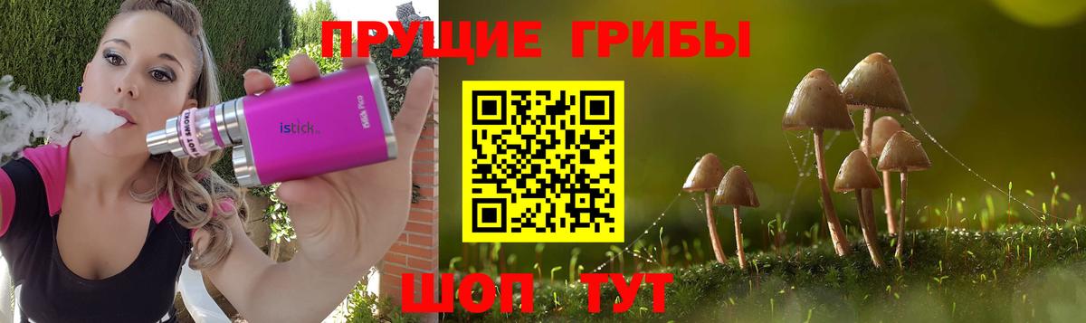 Псилоцибиновые грибы мицелий Баксан